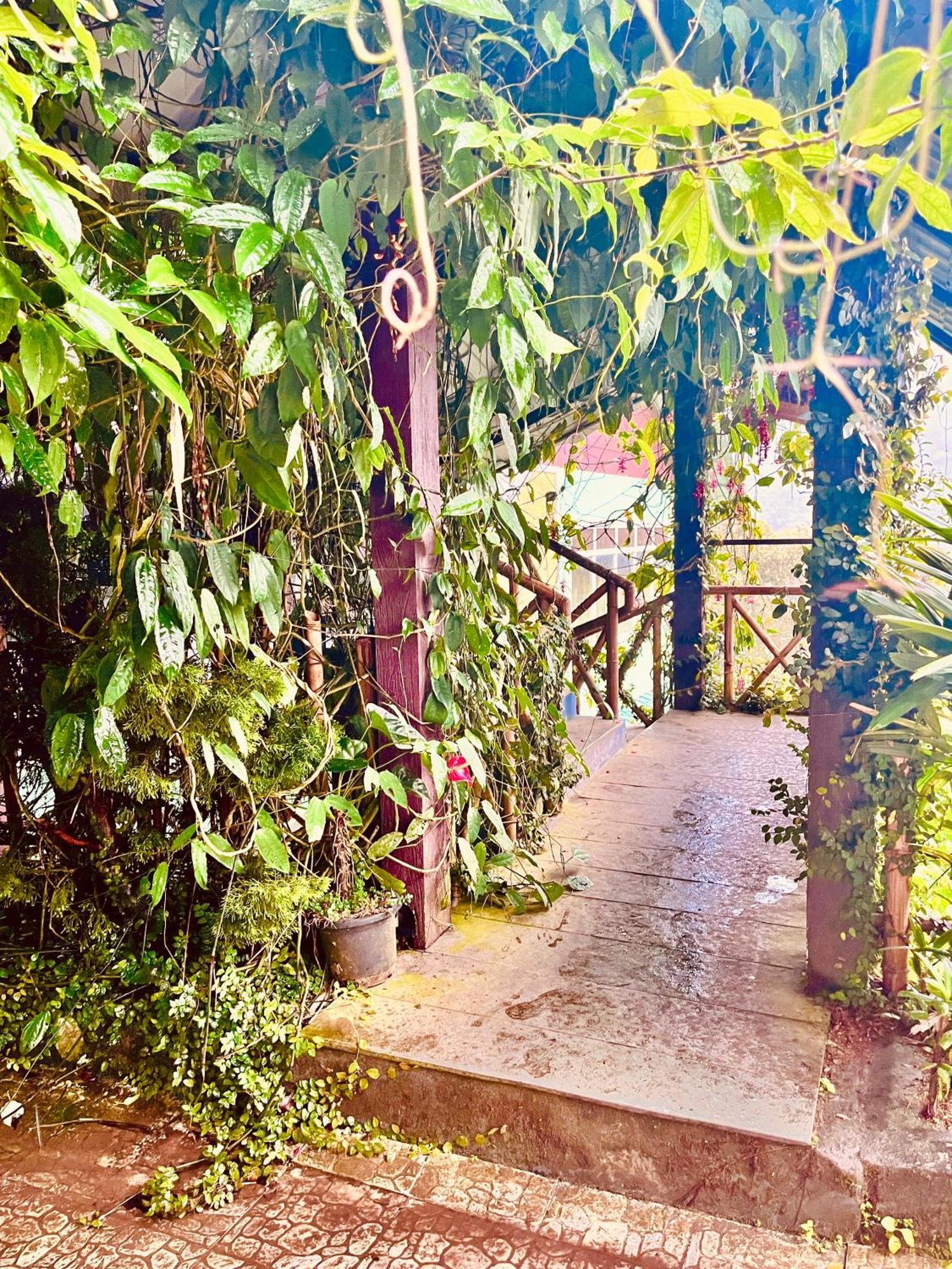 Munnar Tea Estate Cottage And Resort - Away From City Hustle Экстерьер фото